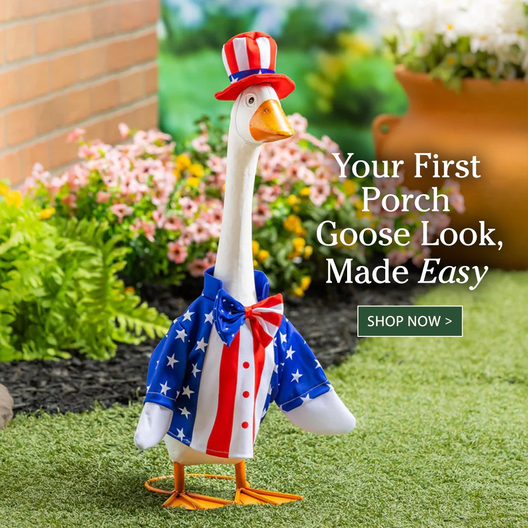 Your First Porch Goose Look, Made Easy