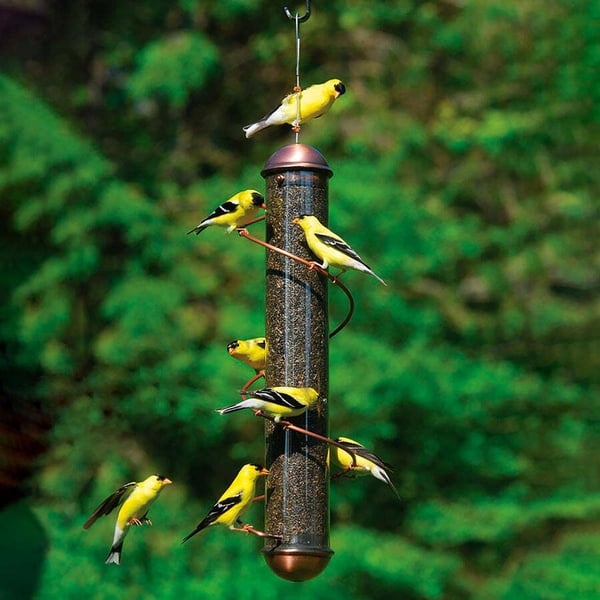 Copper-Colored Spiral-Perch Finch Bird Feeder