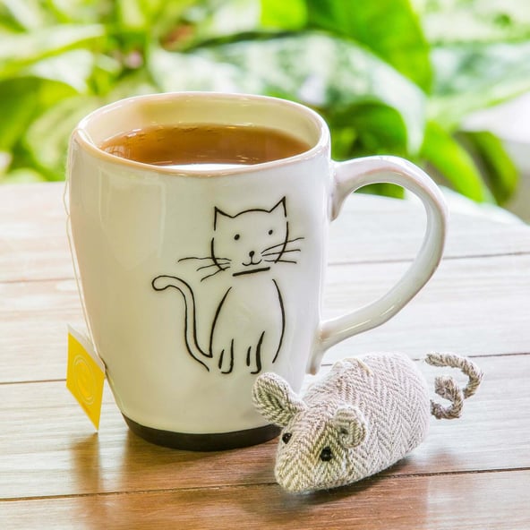 Pet Cat Ceramic Cup and Toy Gift Set