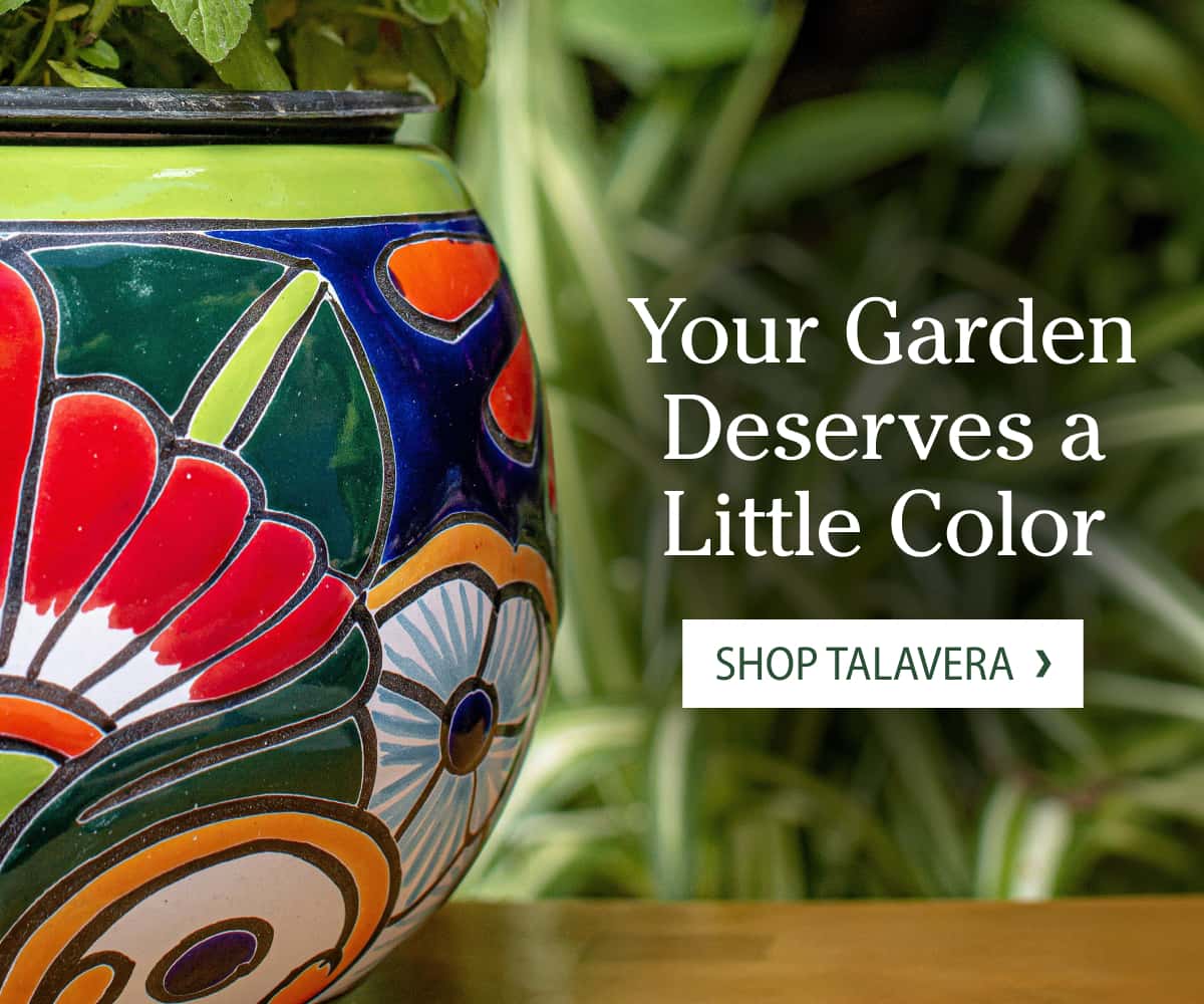 Your Garden Deserves a Little Color Shop Talavera >